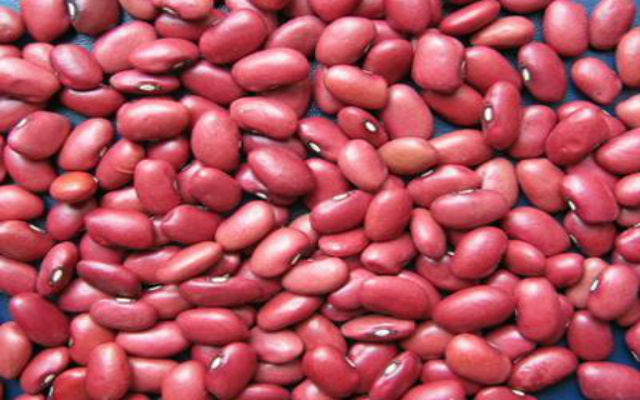 Red Kidney Beans