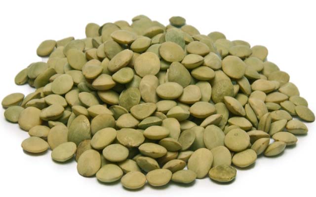 Green Lentils 20 KGS